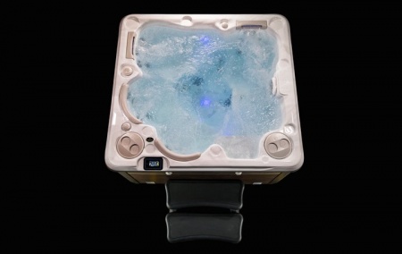Гидромассажный спа бассейн Hydropool Self-Cleaning 495 Platinum